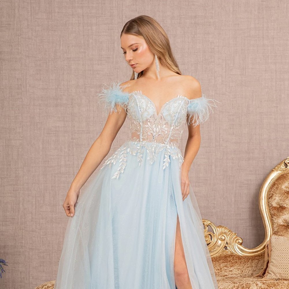 NEW LONG A-LINE OFF THE SHOULDER SLEEVELESS MESH DRESS WITH ZIPPER BACK GL3135